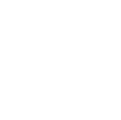 OZDD Logo